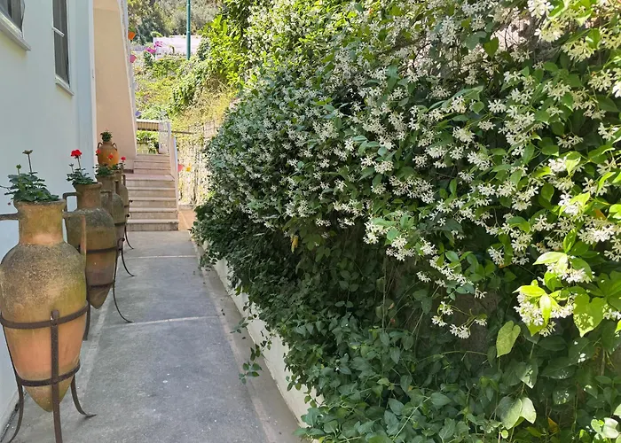Hotel con tennis: Villa Striano Capri - Guest House - Rooms Garden&Art