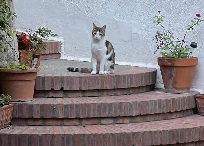 Hotel familiare: La Musa